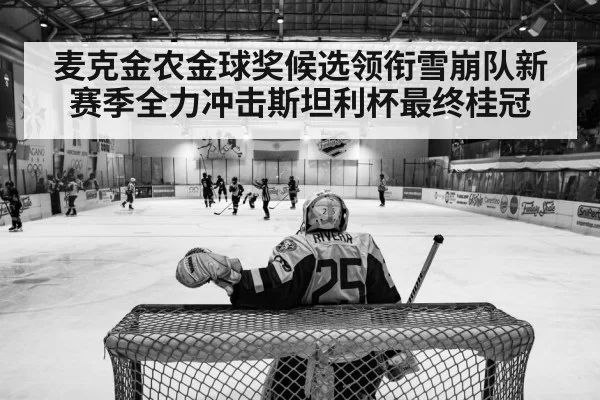 hockey arena action